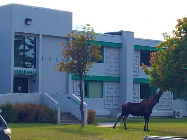 Photo of Alaska Pacific University