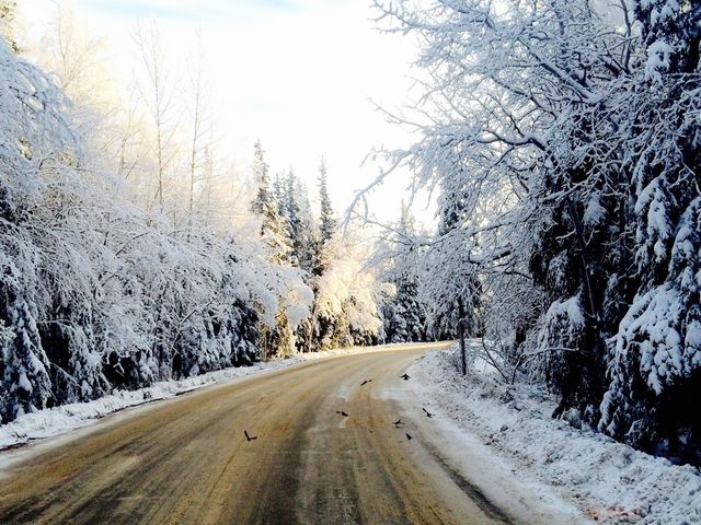 Photo of Alaska Pacific University