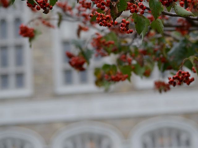 Photo of Albany Law School