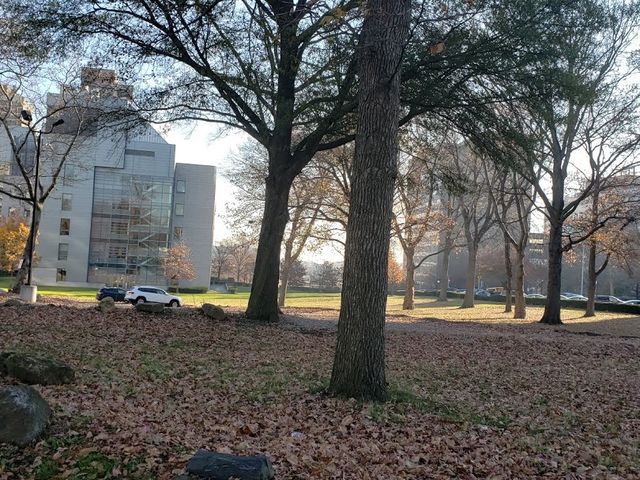 Photo of Albert Einstein College of Medicine