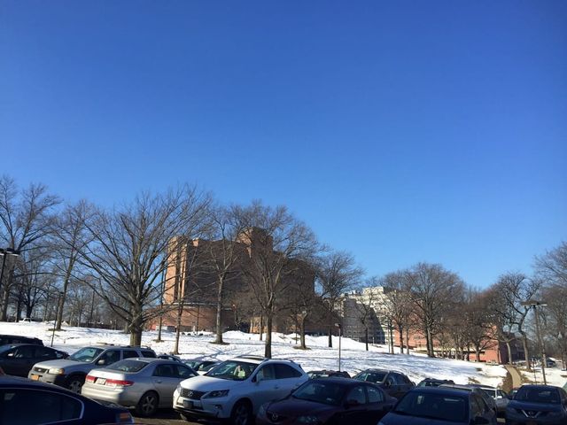 Photo of Albert Einstein College of Medicine