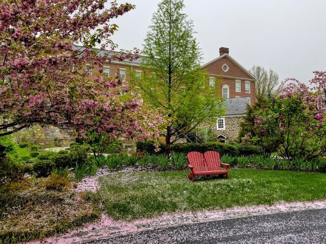 Photo of Albright College