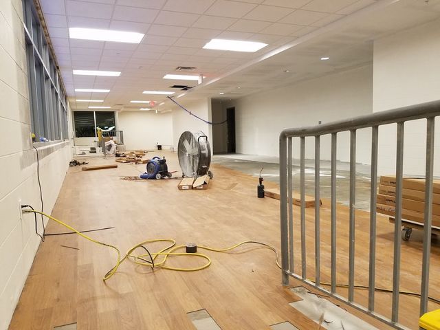 Photo of Alice Lloyd College