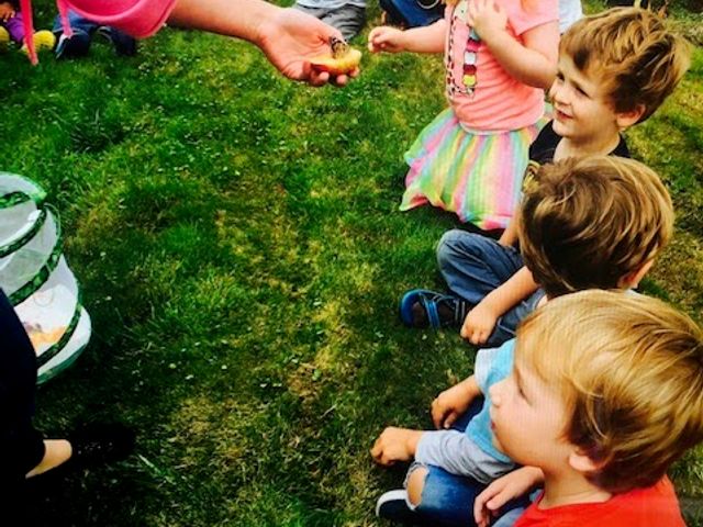 Photo of Alpha Kids Academy, Menlo Park, CA, USA