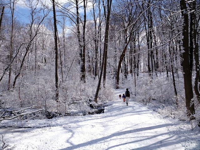 Photo of Aquinas College