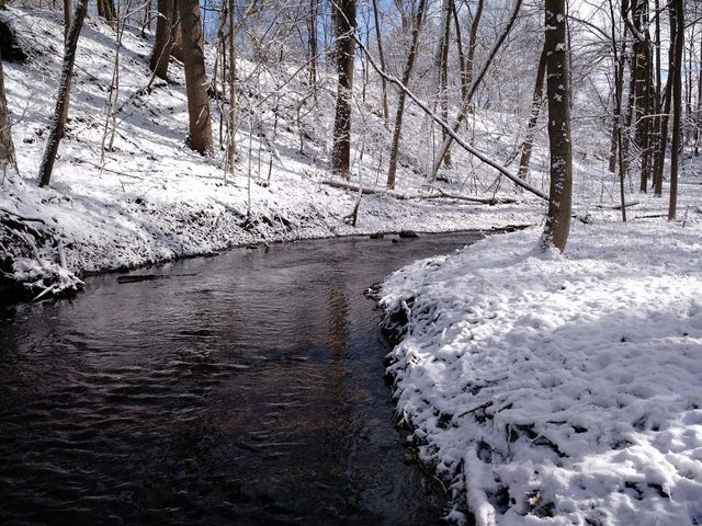 Photo of Aquinas College