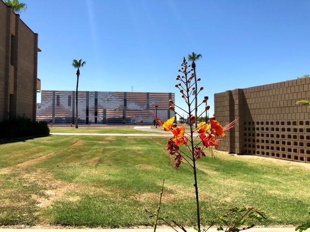 Photo of Arizona Western College