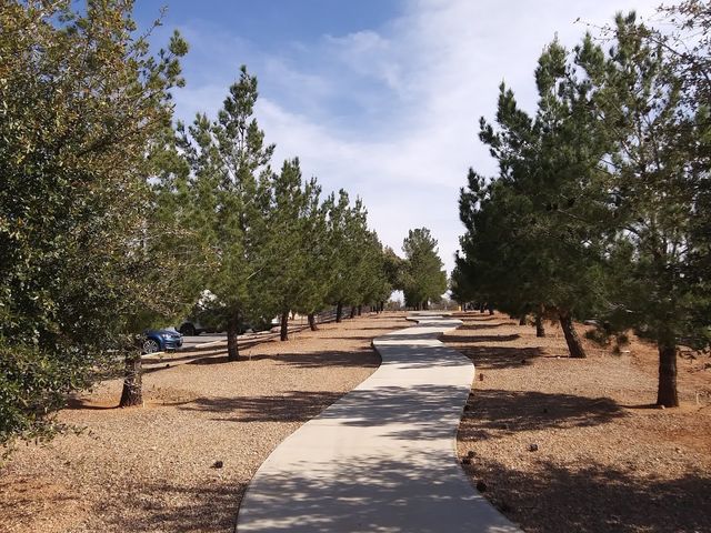 Photo of Arizona State University - Cochise