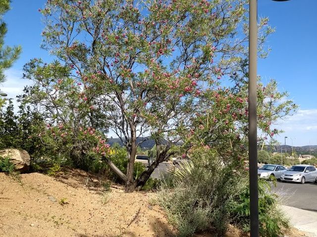 Photo of Arizona State University - Yavapai College Prescott Valley Campus