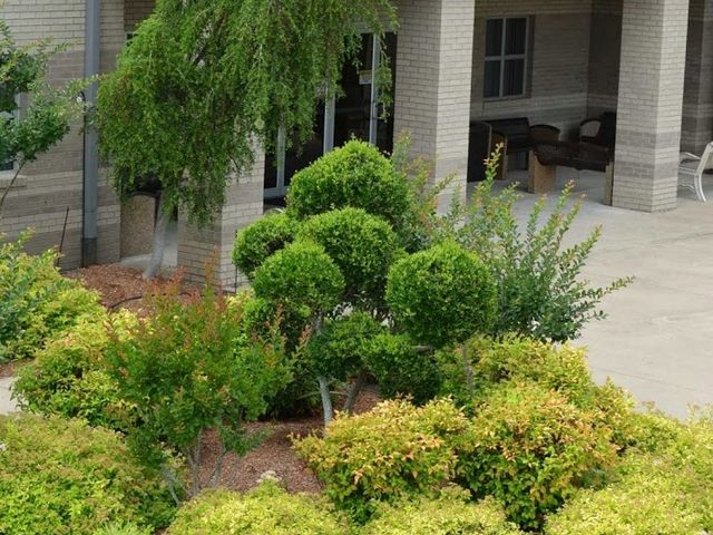 Photo of Arkansas State University Three Rivers