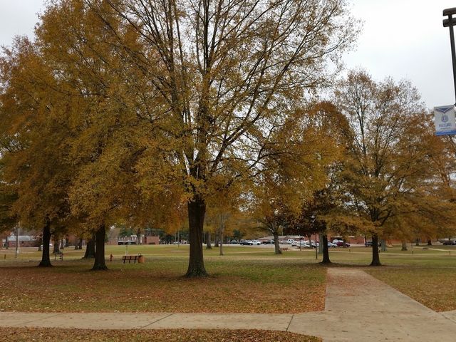 Photo of Arkansas State University-Beebe