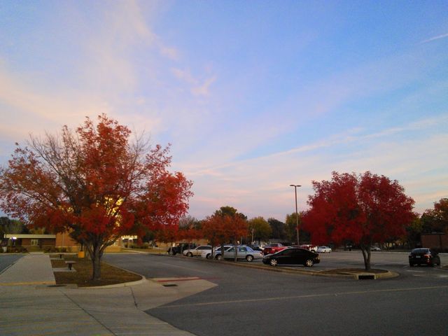 Photo of Arkansas State University-Beebe