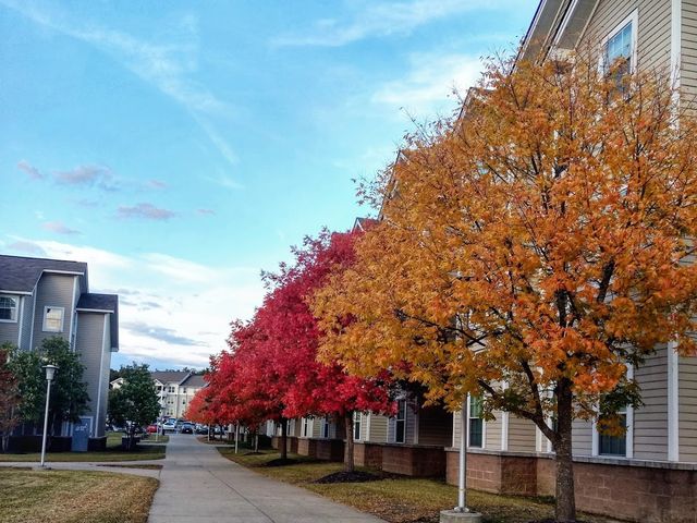 Photo of Arkansas State University-Main Campus