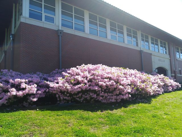 Photo of Arkansas Tech University