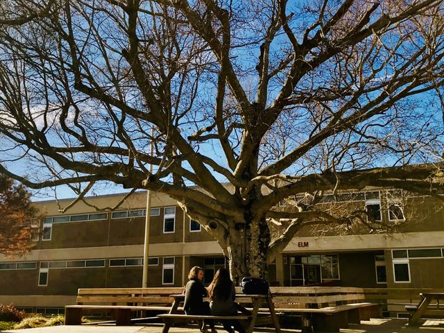 Photo of Asheville-Buncombe Technical Community College