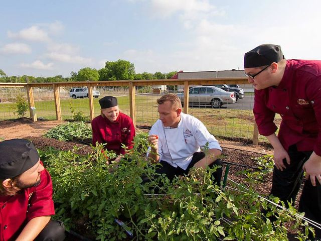Photo of Auguste Escoffier School of Culinary Arts-Austin