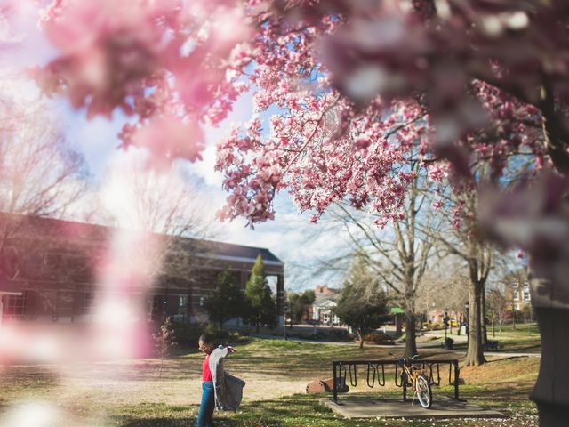 Photo of Austin Peay State University