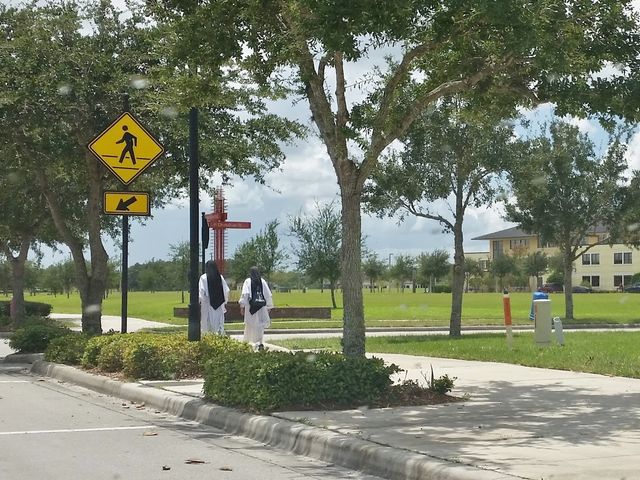 Photo of Ave Maria University