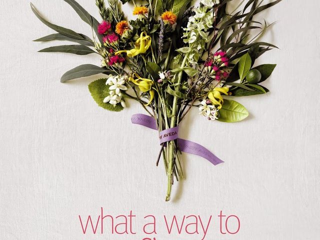 Photo of Aveda Institute-Tallahassee