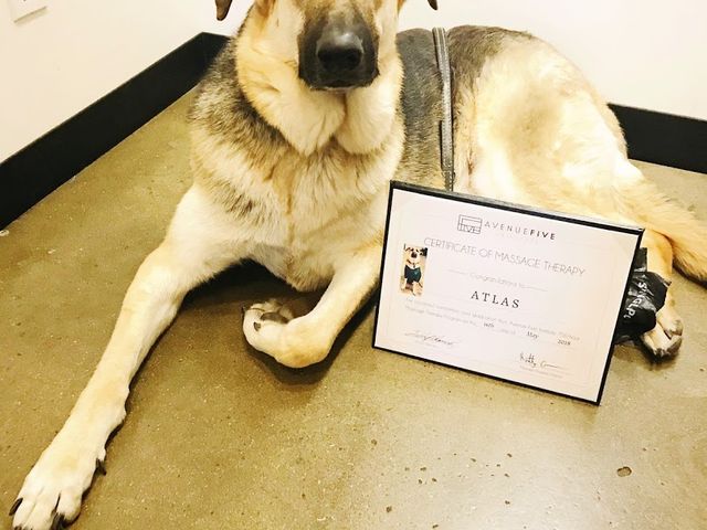 Photo of Avenue Five Institute