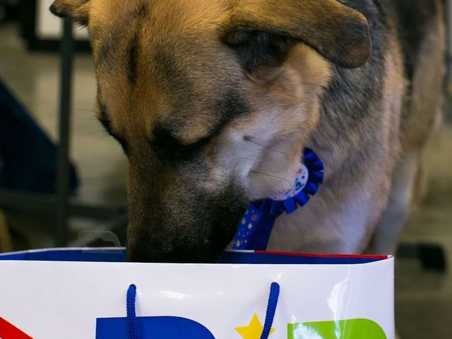 Photo of Avenue Five Institute