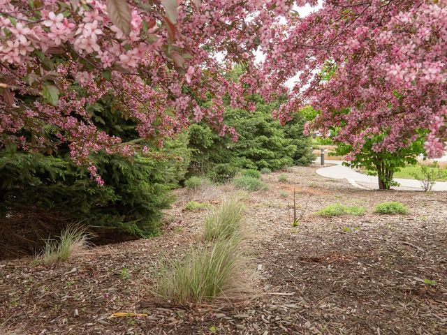 Photo of Avera McKennan Hospital School of Radiologic Technology