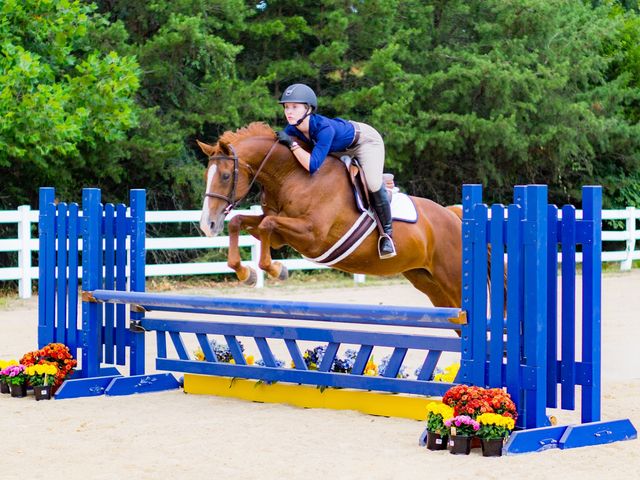 Photo of Averett University