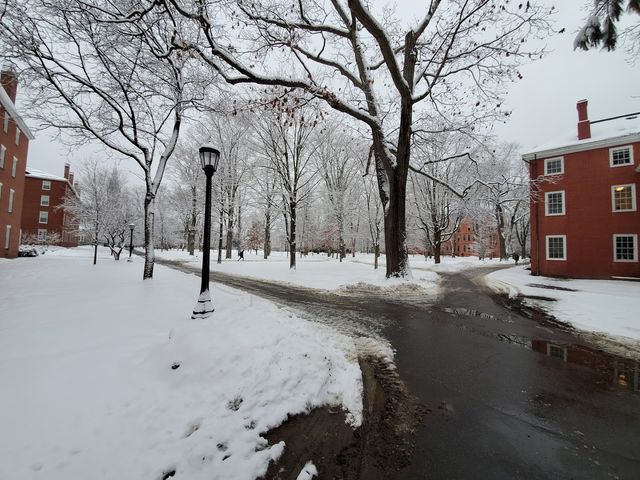 Photo of Bowdoin College