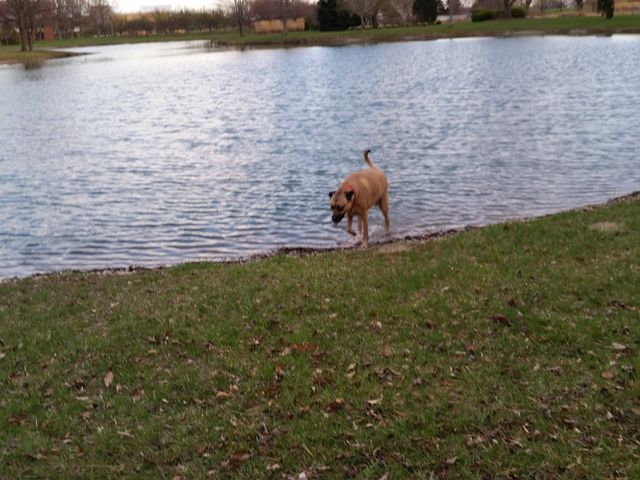 Photo of Bowling Green State University-Firelands