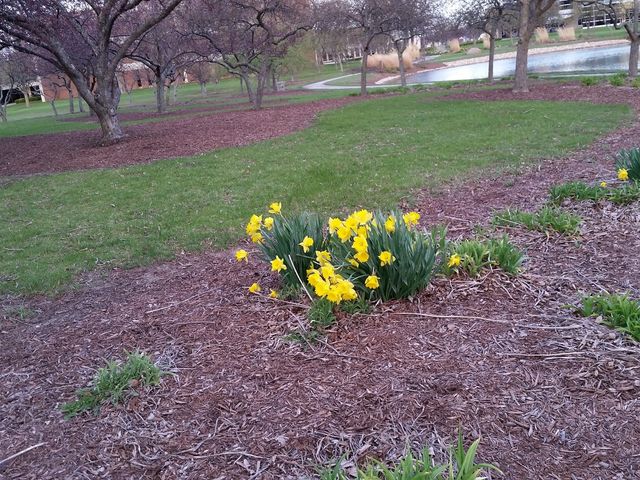 Photo of Bowling Green State University-Firelands