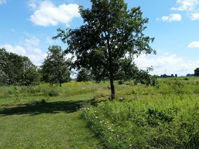 Photo of Bowling Green State University-Firelands