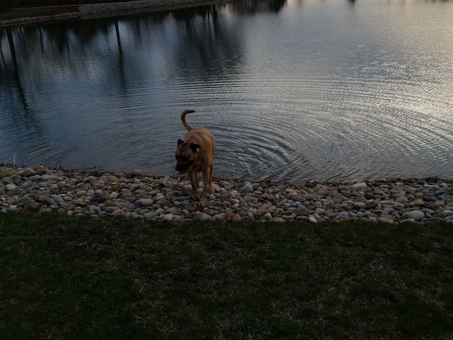 Photo of Bowling Green State University-Firelands
