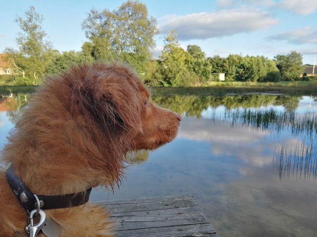 Photo of Børnesøen i Kibæk