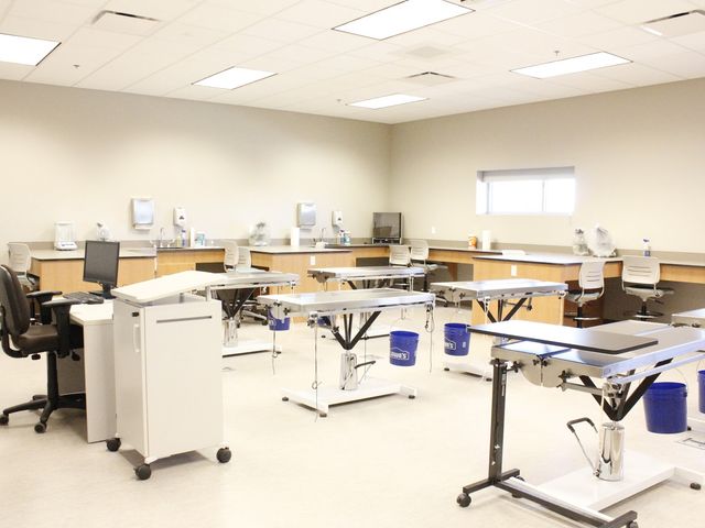 Photo of Bolivar Technical College