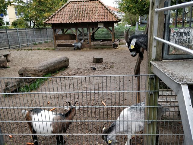 Photo of Bondegården på Amager