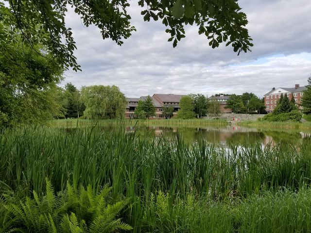 Photo of Bates College