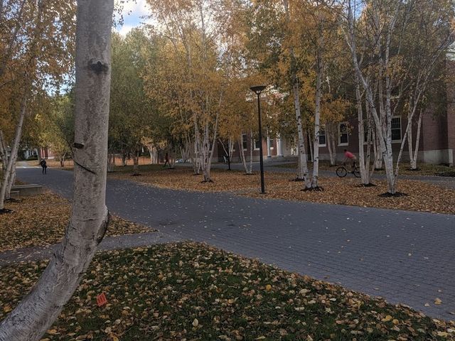 Photo of Bates College