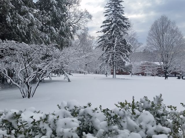 Photo of Bay Path University