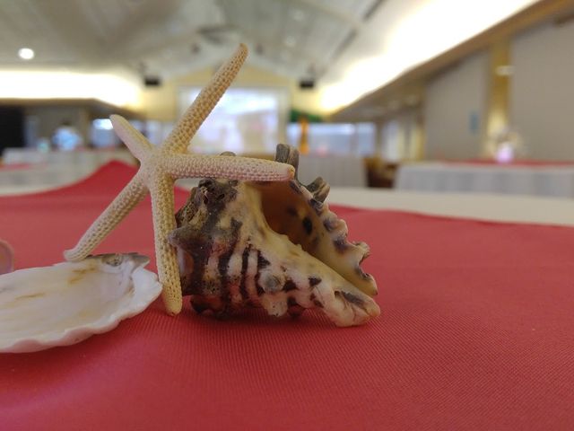 Photo of Bay Path University