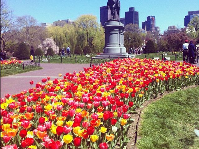 Photo of Bay State College