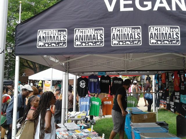 Photo of Baltimore City Community College