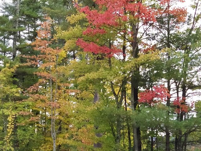 Photo of Bard College at Simon's Rock