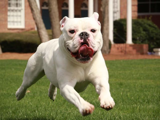 Photo of Barton College