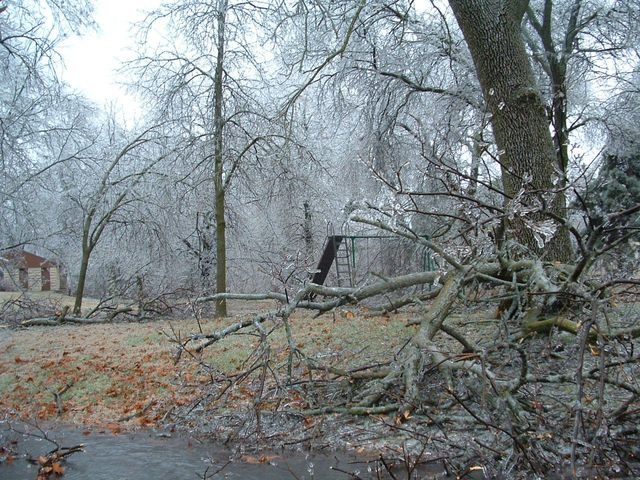 Photo of Bethel College-North Newton