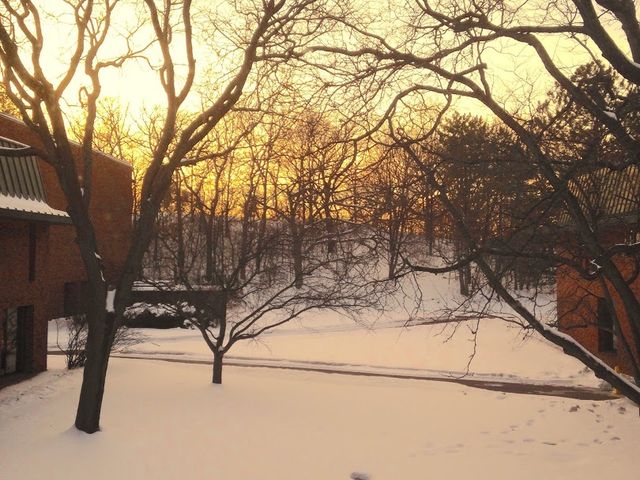 Photo of Bethel Seminary-St Paul