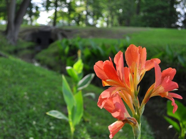 Photo of Beaufort County Community College