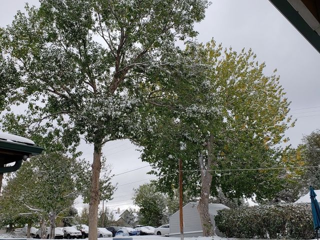 Photo of Bel-Rea Institute of Animal Technology