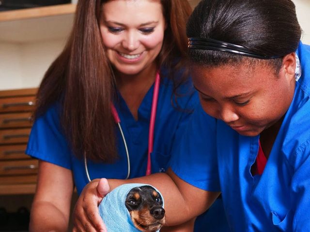 Photo of Bel-Rea Institute of Animal Technology