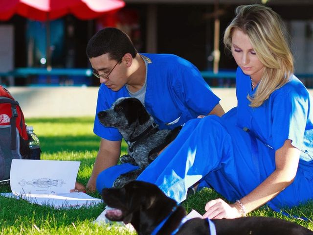 Photo of Bel-Rea Institute of Animal Technology