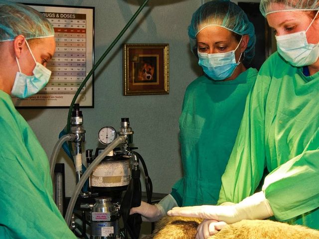 Photo of Bel-Rea Institute of Animal Technology